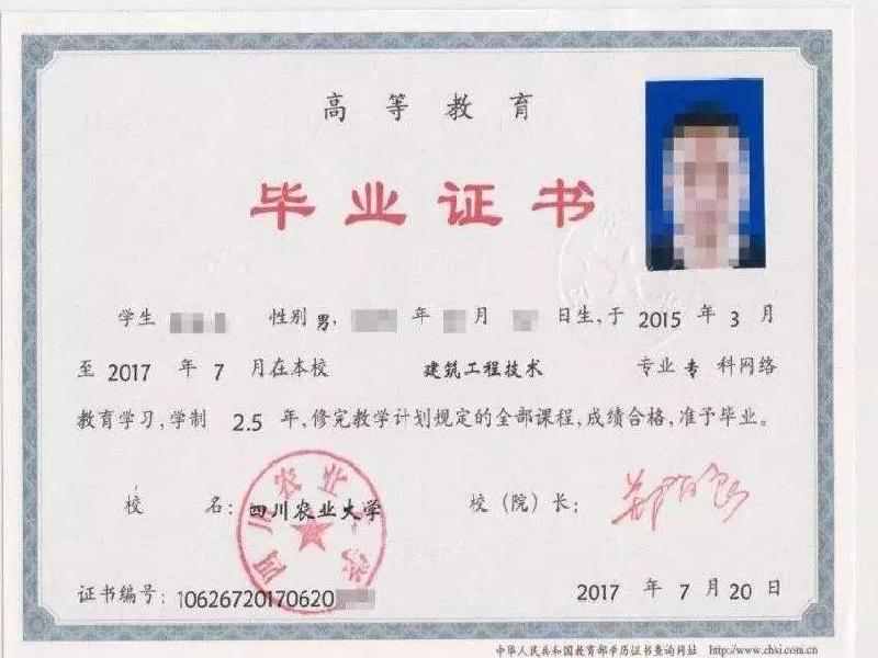 证件照片拍摄与排版的注意事项