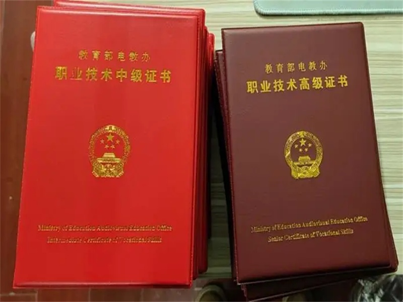 证件照片拍摄与排版的注意事项